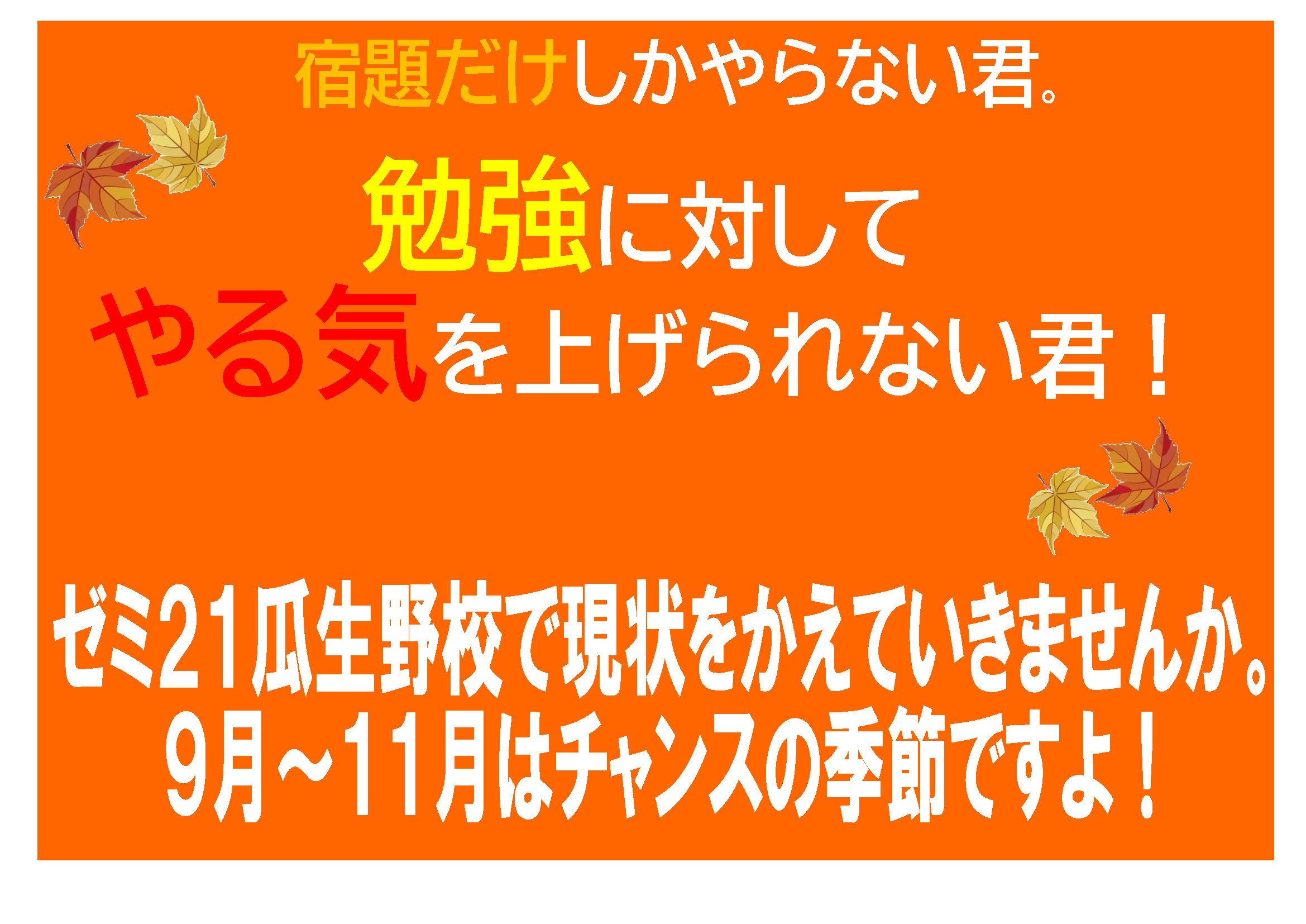 秋の無料体験受付